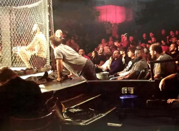 Coach working the corner during a cage fight